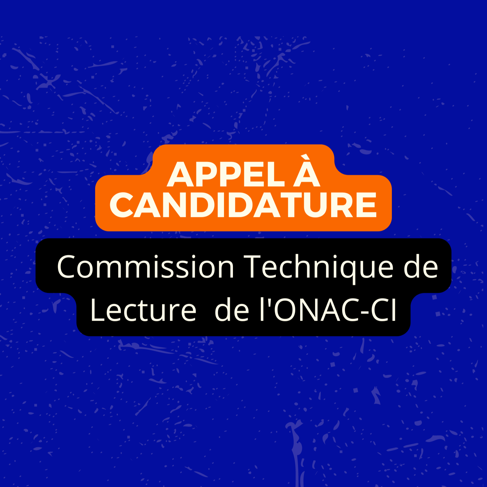 Renouvellement de la CTL de l'ONAC-CI