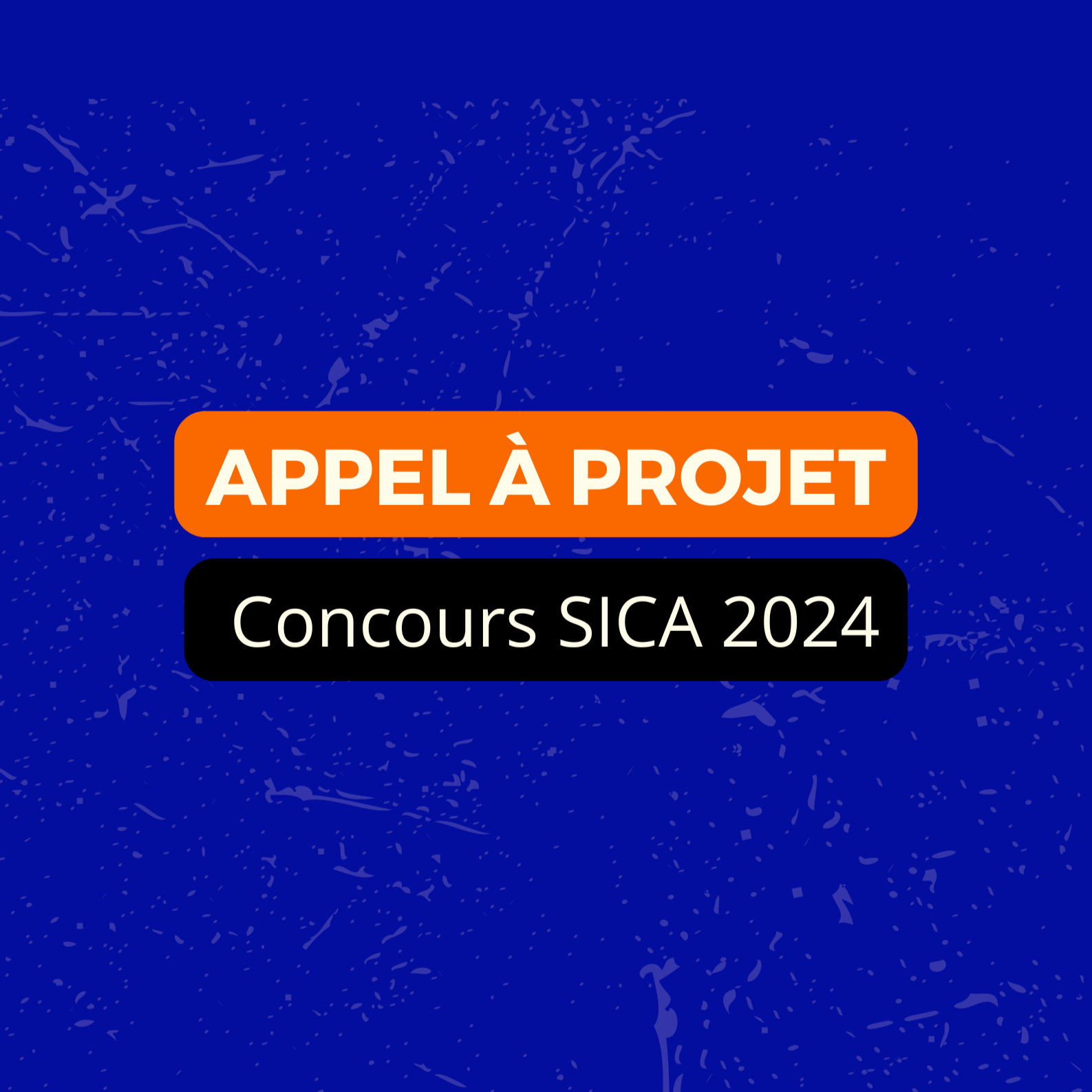 Appel à projet pour un Concours de talent portant sur une production de film du SICA 2024